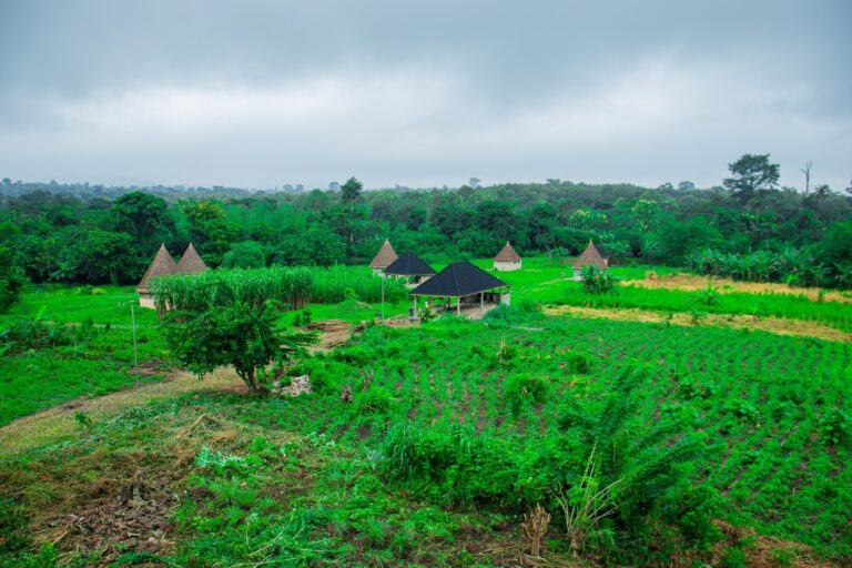 Togo : Terra Agropolis