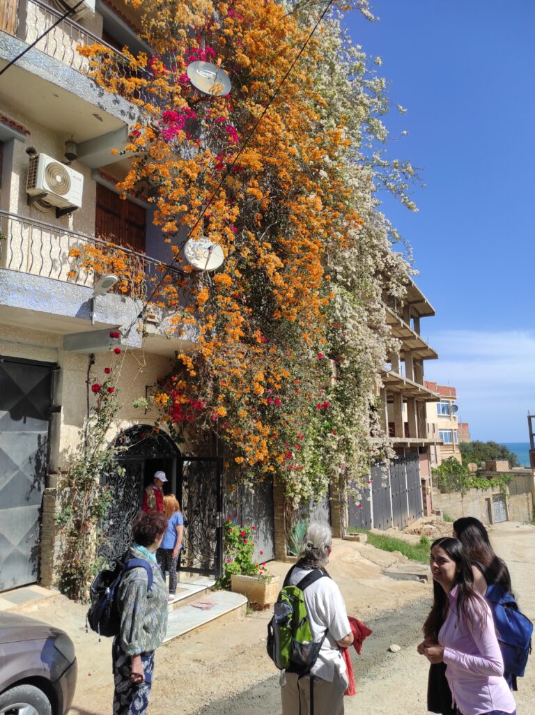 Algérie: Gîtes et maison d’hôtes « Maison RKA » de Saket  –   Bejaia