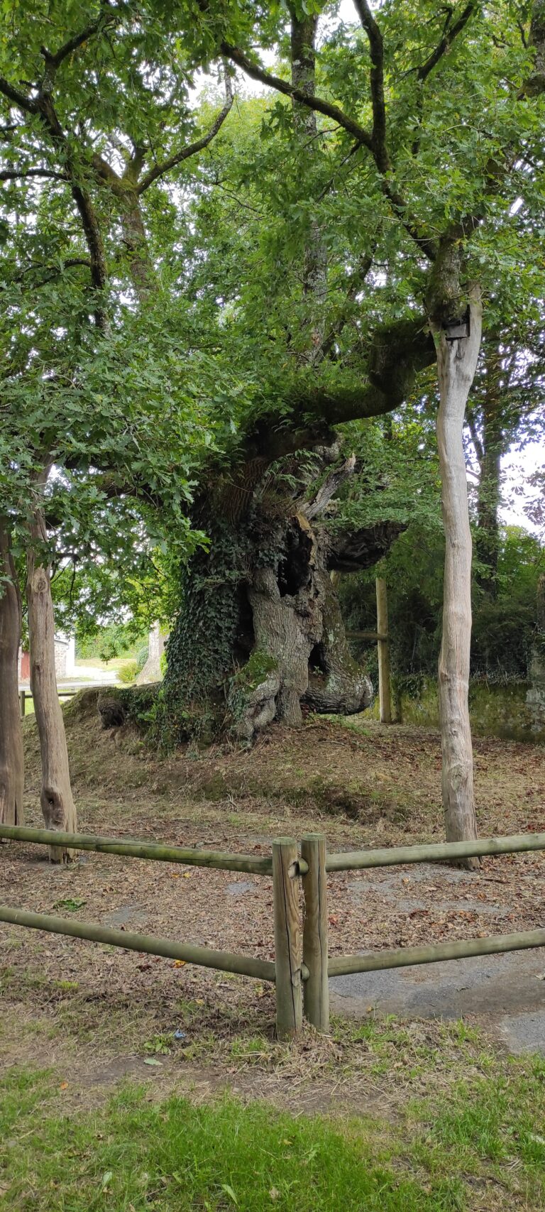 France: Ferme de Longueville -Locmalo- Morbihan – Bretagne .