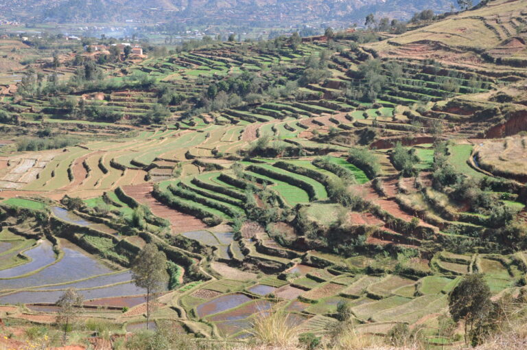 Madagascar : Association Avana Tsara.