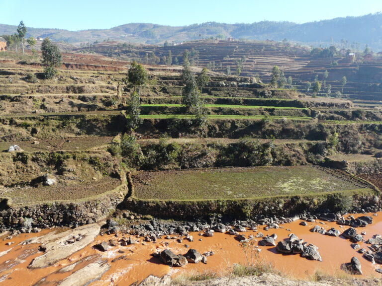 Madagascar : Association Avana Tsara.